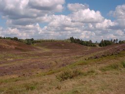 Kongenshus Mindepark